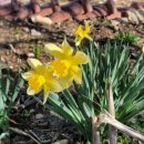 서희농장 이미지