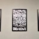 청실문구
