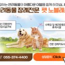 (주)펫노블레스 이미지