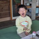 섬진강찔레꽃언덕 | 내돈내산 하동여행숙소 독채한옥펜션, 아이가 더 행복한 시간 찔레꽃언덕펜션
