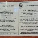 겸손돈가스 이미지