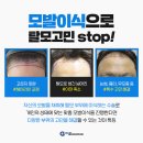 닥터공헤어라인의원 이미지