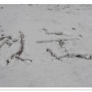 데굴데굴 이미지