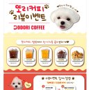 또리분식 | [내돈내산] 동해 카페인데 분식이 맛있는 분식맛집 &#39;또리커피&#39;