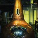 더리터상인 | 맥코넬스(McConnell's), 침묵의 세기를 건너온 아이리쉬 위스키
