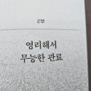 일선의전 | 공직사회라는 이상한 세계
