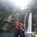 천지연폭포 이미지