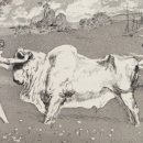 건담한의원 이미지