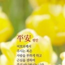 영흥라이브까페
