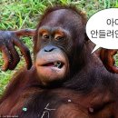 일상로그 이미지