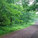 힐링산책코스 이미지