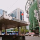 더 올 요가 이미지