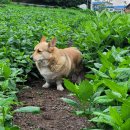 대구한정식 녹야원 이미지