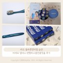 바스피 | 45도 올바른양치질 습관, 미세모 엠바스 변형바스법전용칫솔 후기