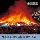 3월엔 어디갈까? 제주관광공사가 추천하는 3월의 제주 관광지. 이미지