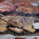 고기싸롱 이미지