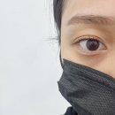 [대전속눈썹펌] 시청역 근처 바비라인 속눈썹펌 후기