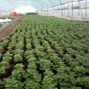 둘리 농장 이미지