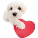 홍동면 개월마을회관 | 종강아환영해~~