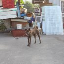 똘이찜나라 이미지