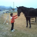 쌍둥이 펜션 이미지