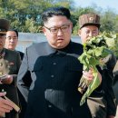 정권농장 이미지