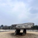 쥬라기카라반 이미지