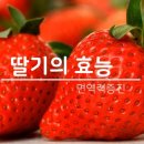 채우리딸기