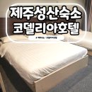 성산일출하우스 | 제주 성산 숙소 내돈내산 코델리아호텔 할인 예약 1+1 연박 후기
