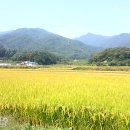 브라보캠핑장