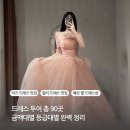 메종드마리 | 드레스 투어 총 90곳 금액대별 등급별 완벽정리 오간자드레스 비즈드레스 실크드레스 컬러드레스샵 추천