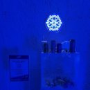 카스월드 이미지