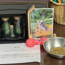 루세떼 이미지