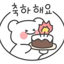 용인대타이곤태권도 이미지