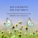 -푸블릴리우스 시루스- 이미지
