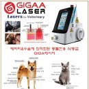 24시 블루밍 동물병원 이미지