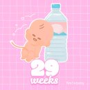 29 이미지
