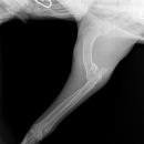 유동물의료센터 이미지