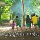 정글 이미지