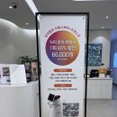 제주도 와인피부과에서 받은 두피 디톡스+트랜스킨 클리닉 관리 후기