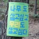 달비골 이미지