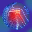 자연나무한의원 이미지