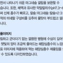 석수와퓨리스