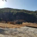 창원목장 이미지