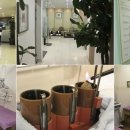 본디올분당한의원 이미지