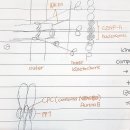 B.M Motors | [세포생물학] Chapter 18. Microtubules and Intermediate filaments 6정리