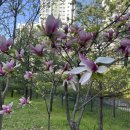 프리티멍 이미지