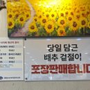 알토랑바지락칼국수