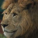 하루생각 이미지