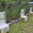 폴유치원 이미지